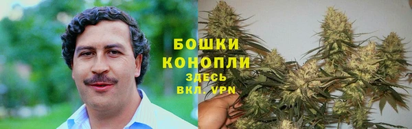 2c-b Ельня