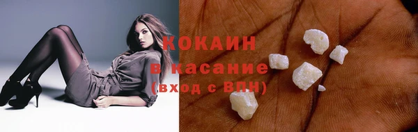 2c-b Ельня