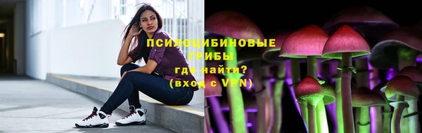 2c-b Ельня