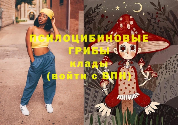 2c-b Ельня