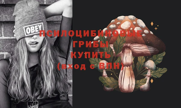 прущий лед Елабуга