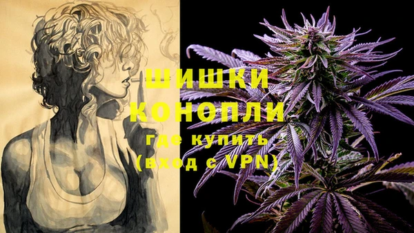 2c-b Ельня
