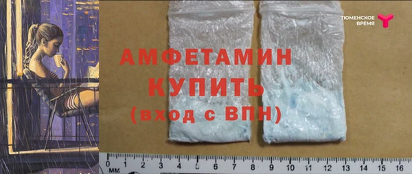 2c-b Ельня