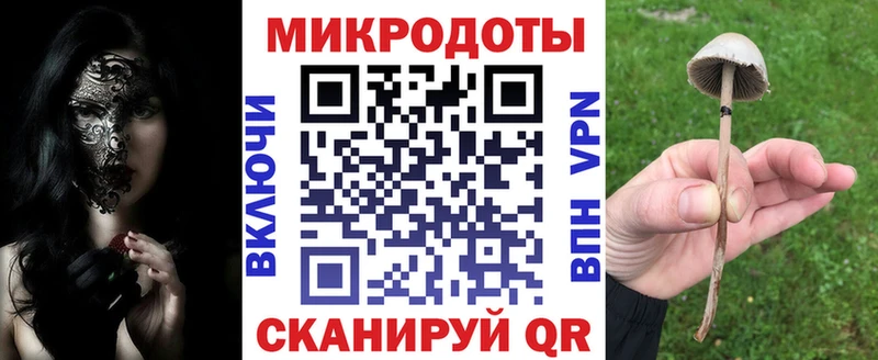 Псилоцибиновые грибы Cubensis  Игарка 